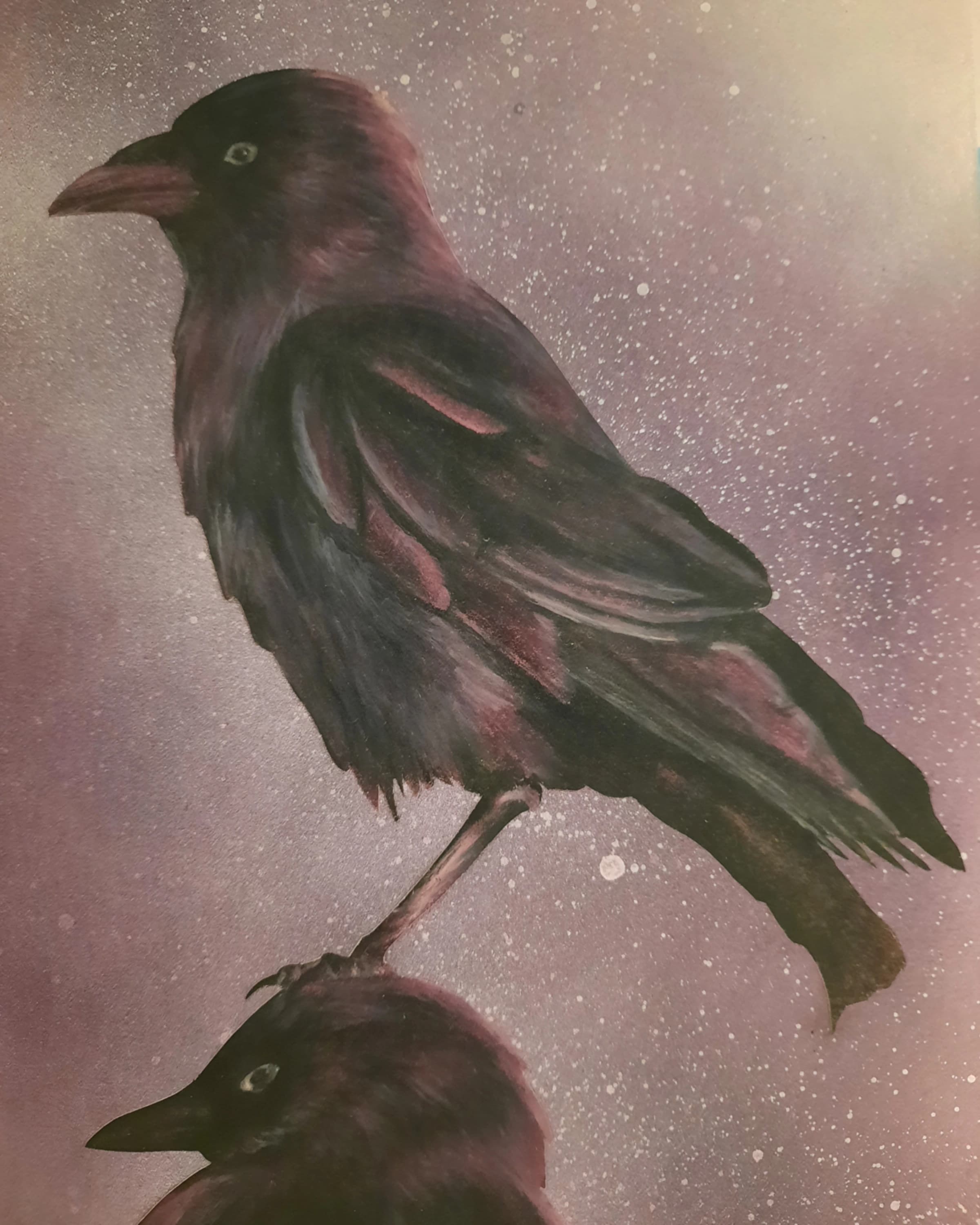 Perched raven, dusk pinks