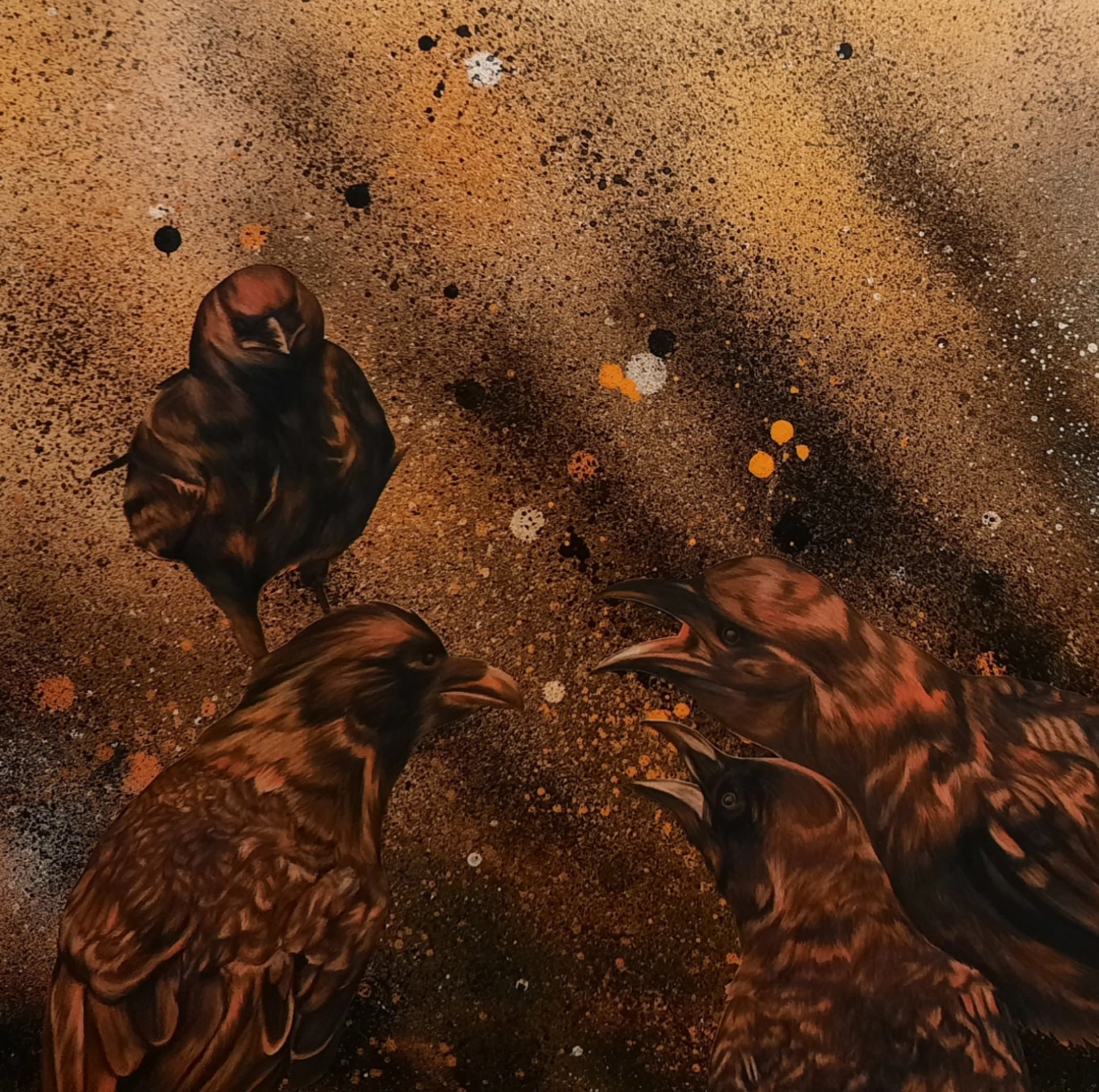 Murder of crows, sienna dust