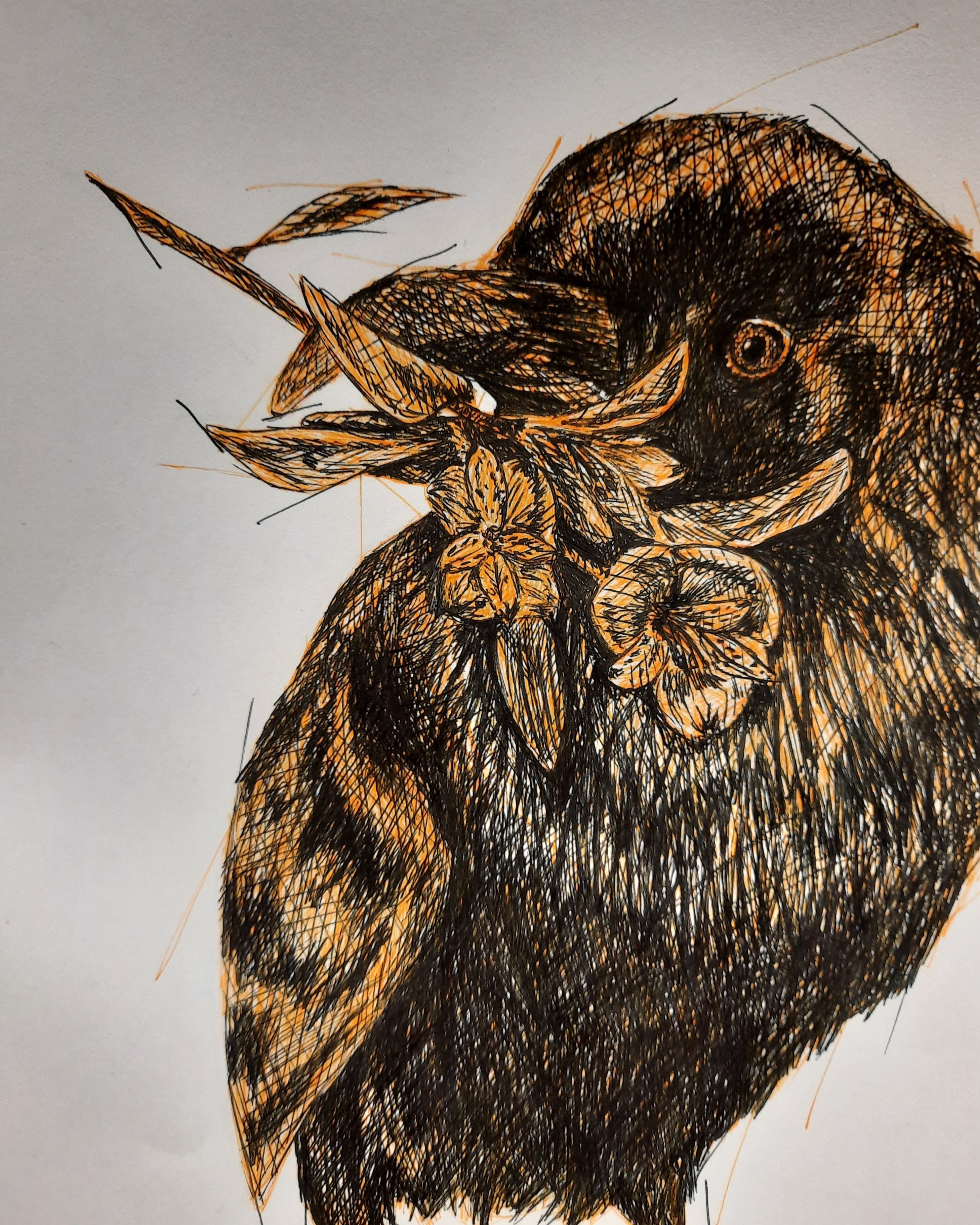 Black raven with daffodil