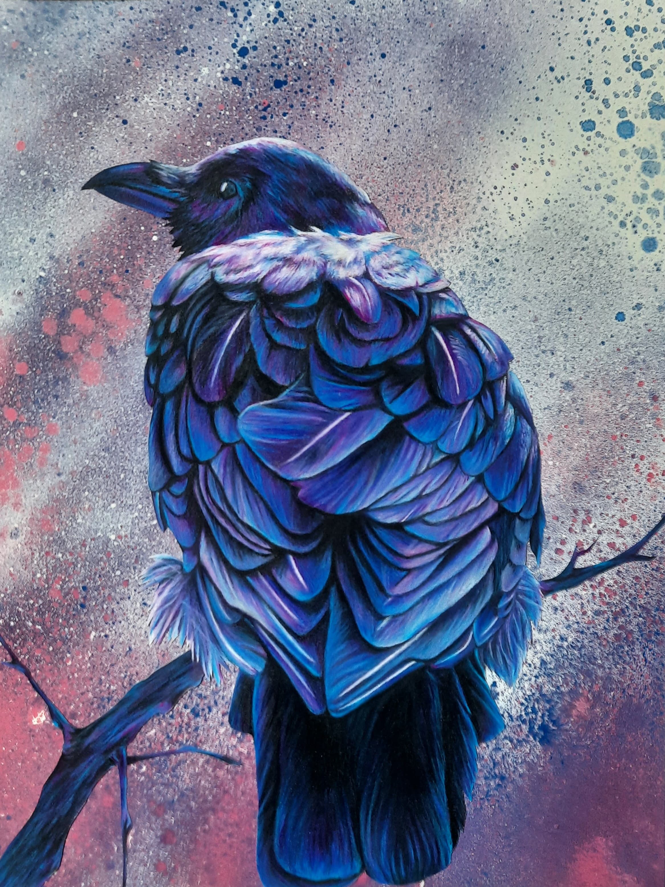 Iridescent blue raven, back view