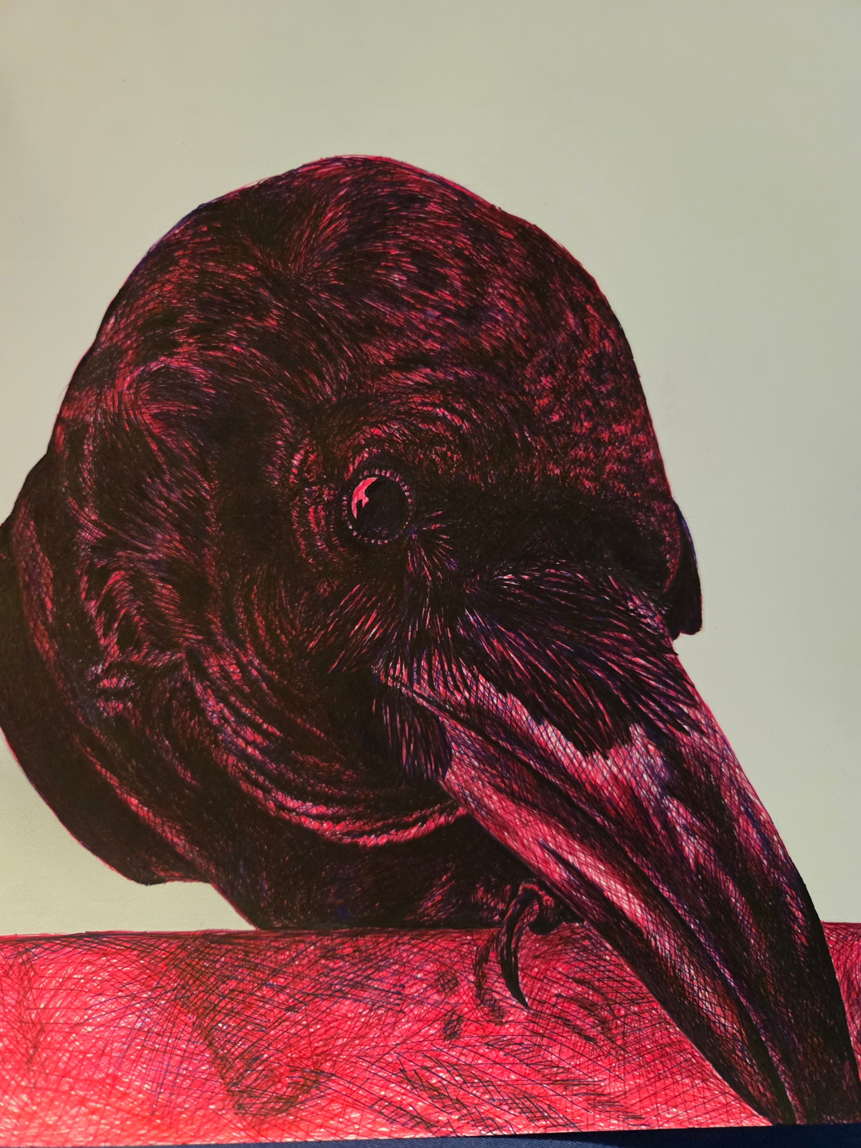 Red raven head, crosshatch