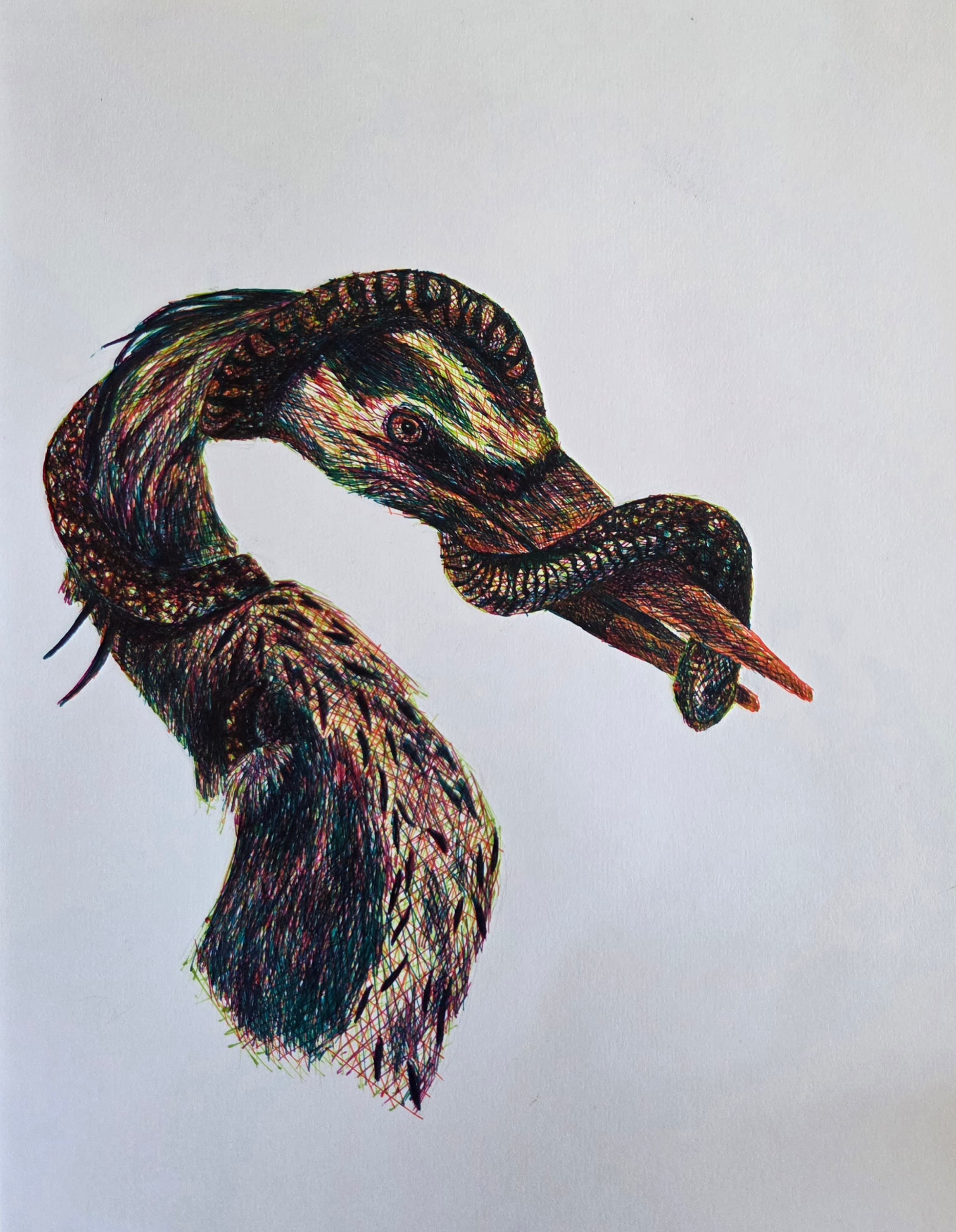 Coiled serpent-creature in ink